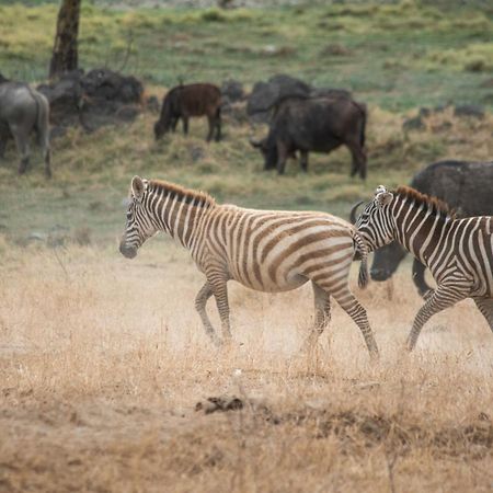 Sarova Lion Hill Game Lodge 나쿠루 외부 사진