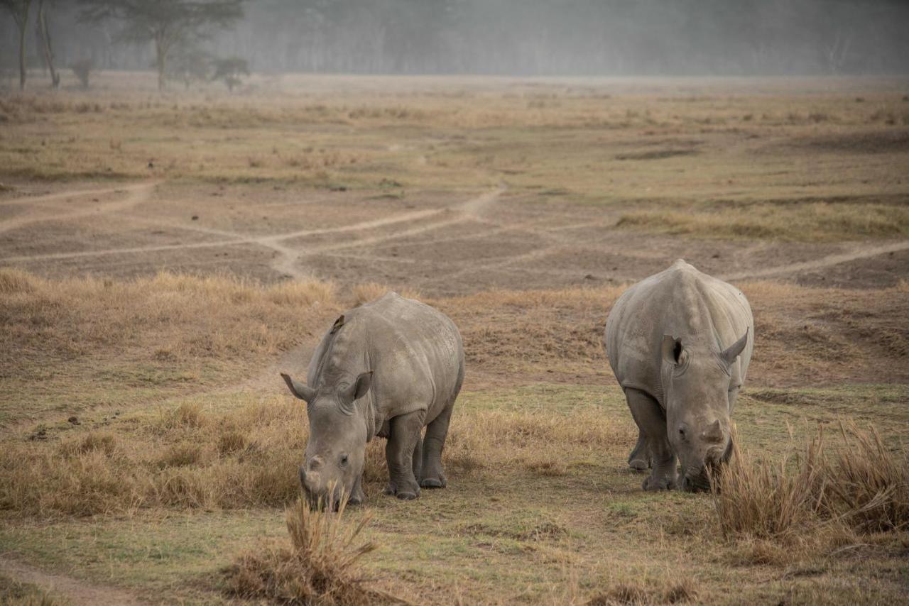 Sarova Lion Hill Game Lodge 나쿠루 외부 사진