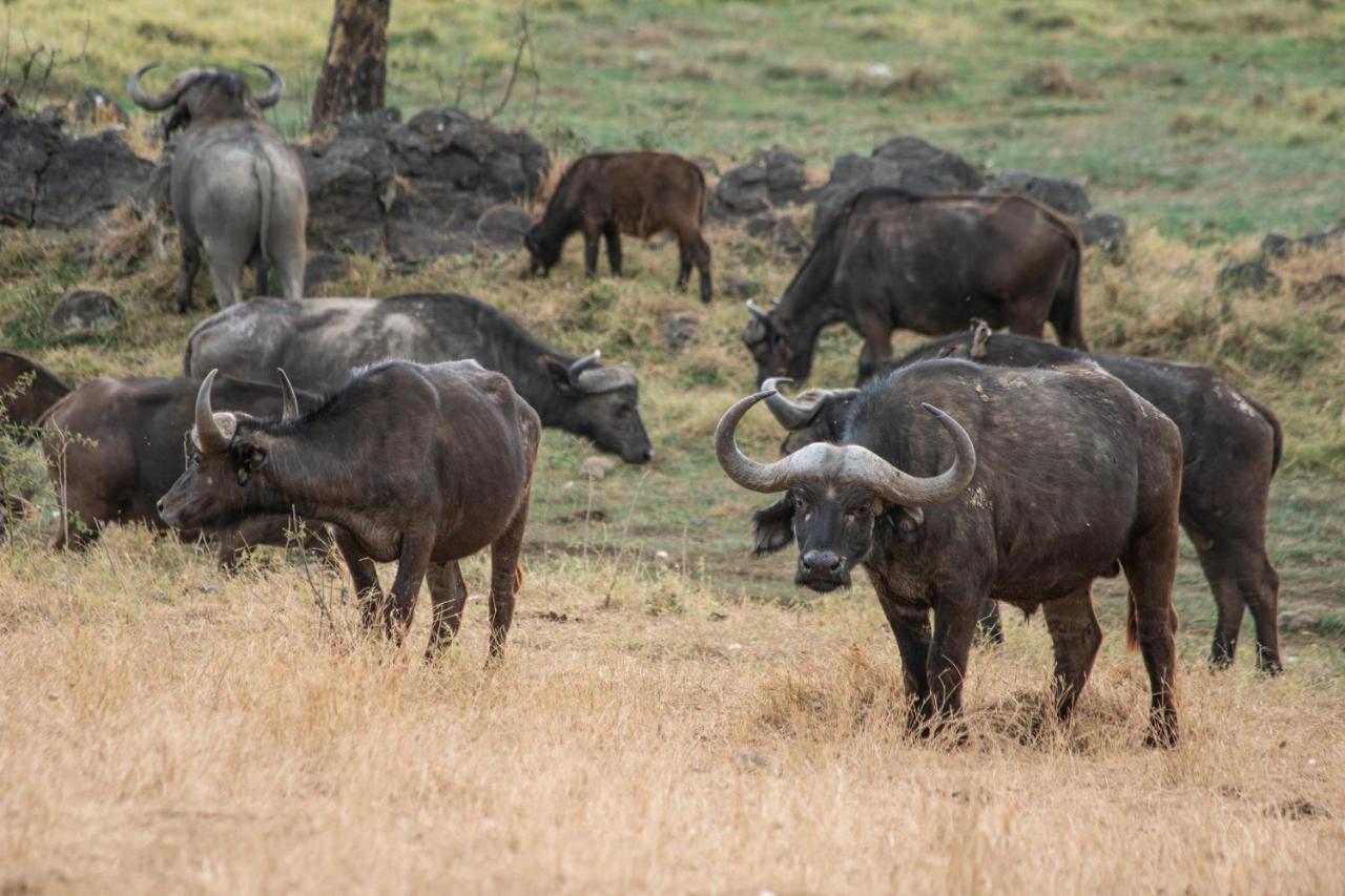 Sarova Lion Hill Game Lodge 나쿠루 외부 사진