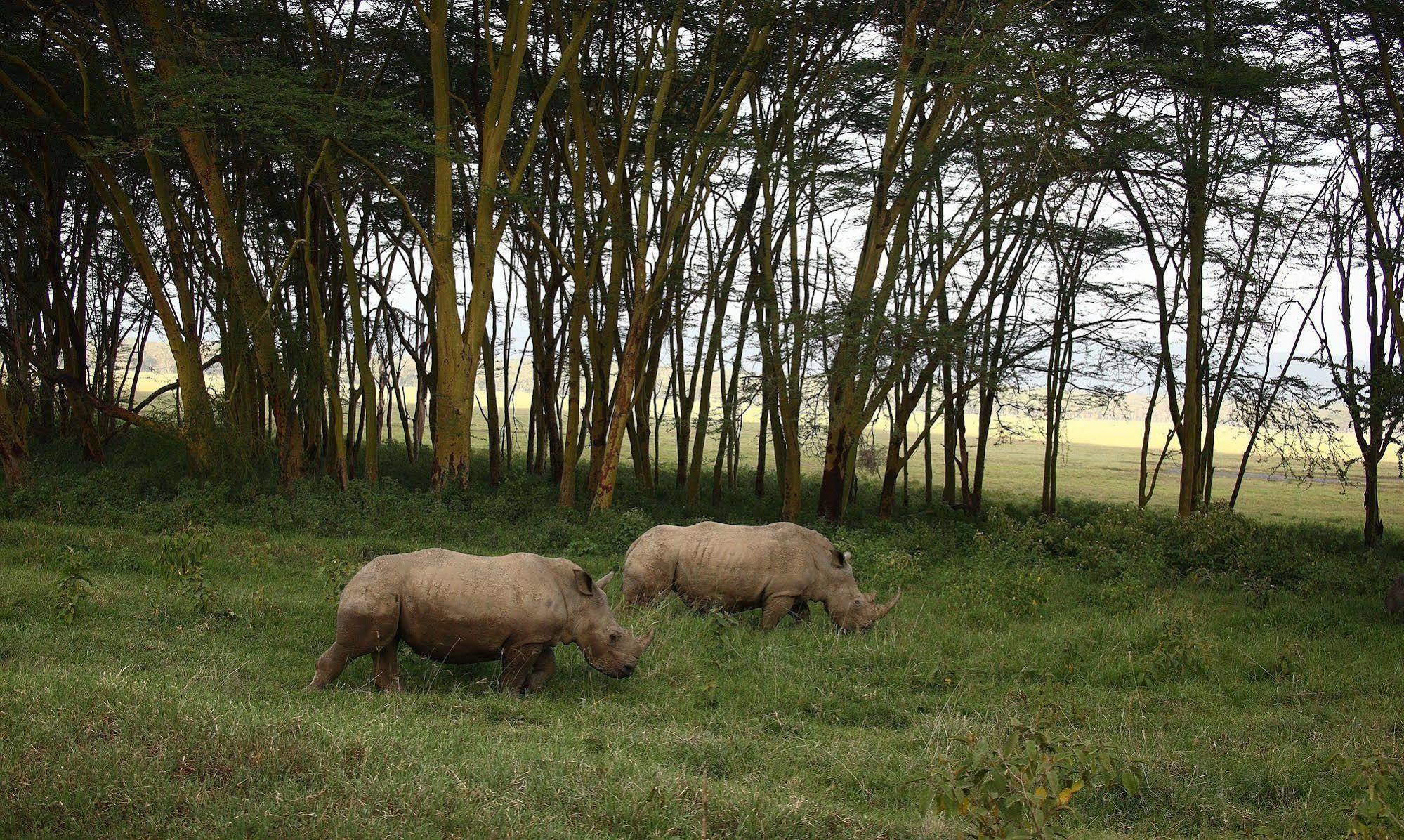 Sarova Lion Hill Game Lodge 나쿠루 외부 사진